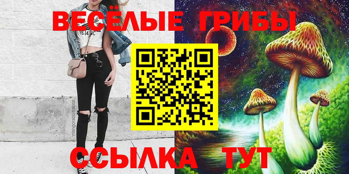 Мыски  Галлюциногенные грибы прущие грибы  Вход с VPN 